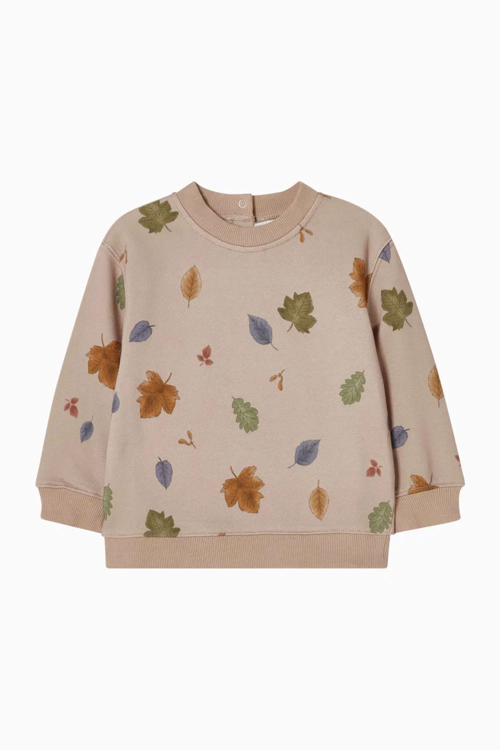 Свитшот хлопковый Wild Side Fox & Finch