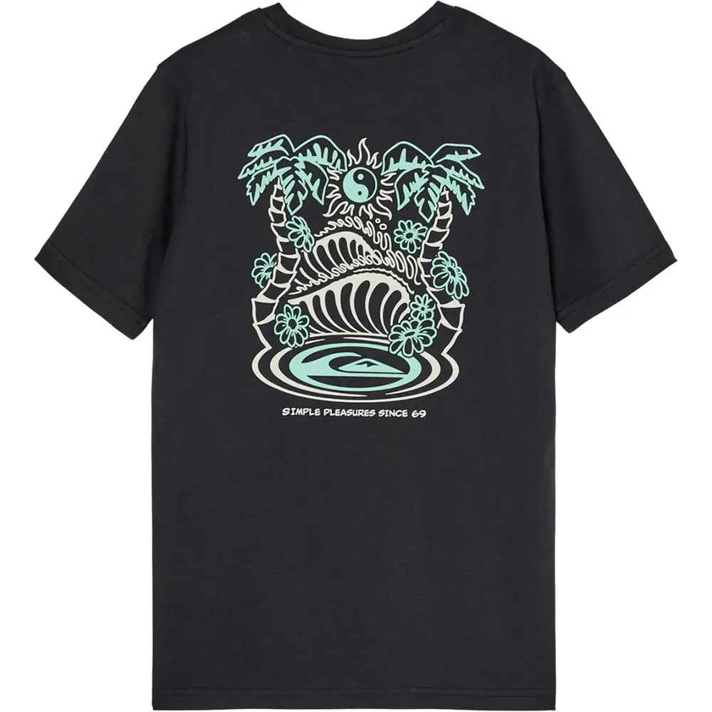 Детская футболка для мальчиков с коротким рукавом Quiksilver Fusion, Black — фото 2