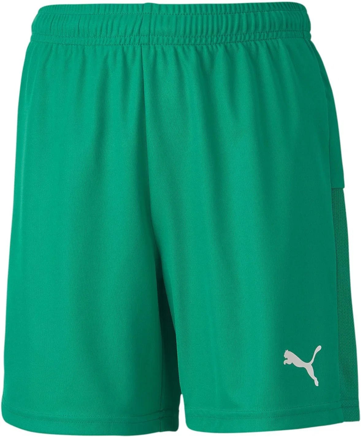 Вязаные шорты Puma Unisex-Youth Teamgoal 23 для молодежи, Pepper Green