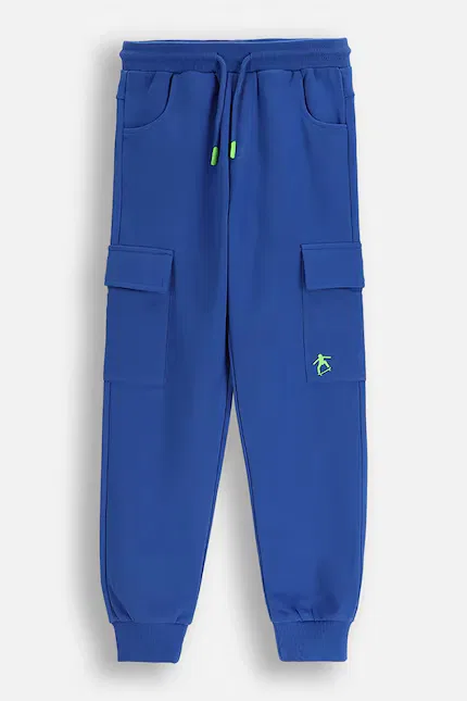 Спортивные штаны хлопок Coccodrillo, синий