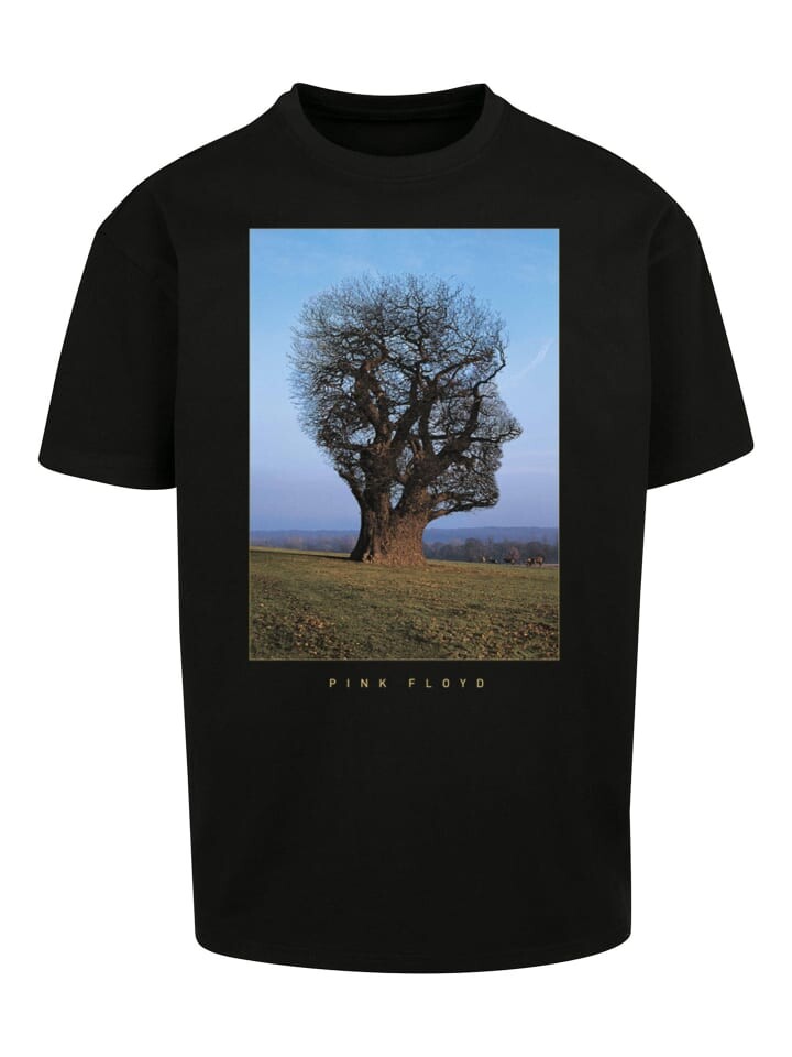 

Футболка F4NT4STIC Pink Floyd Tree Head, черный