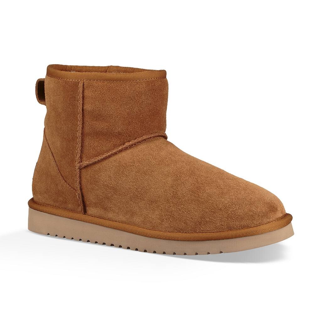 

Мужские зимние ботинки UGG Burra Mini Mini Koolaburra by UGG, цвет Chesnut