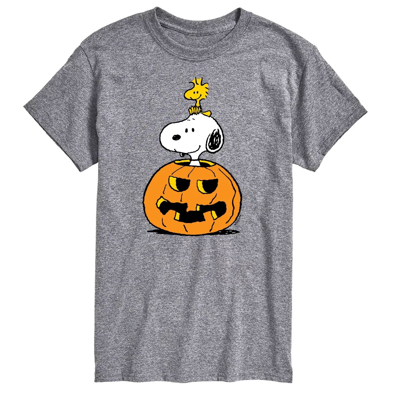 

Футболка Big & Tall Peanuts Snoopy с тыквой Licensed Character, серый