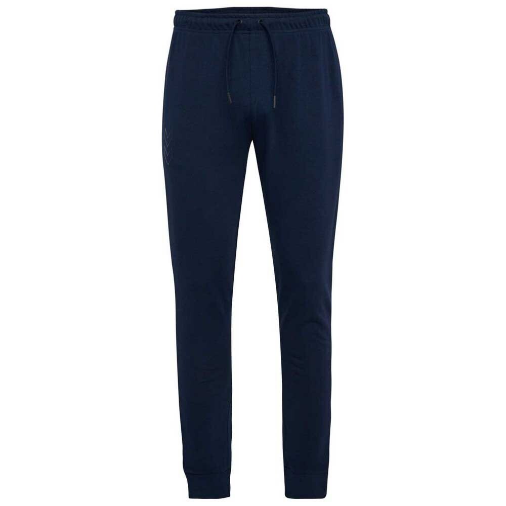 

Брюки Hummel Active Tracksuit, синий
