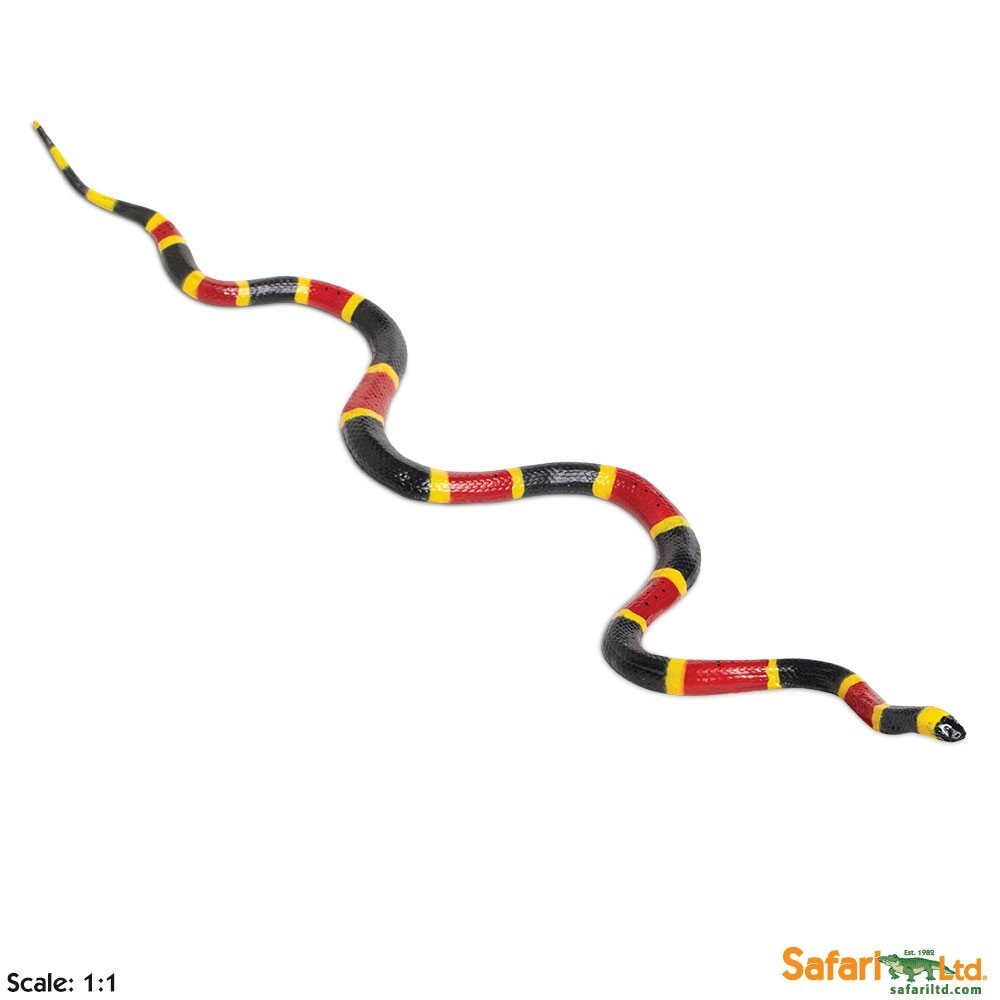 

Safari Ltd 257429 Коралловая змея 60х11,3х1,5см