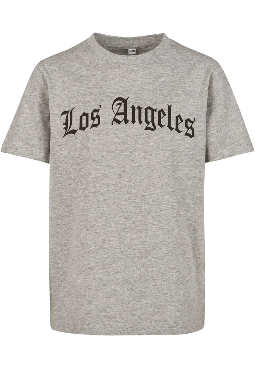 

Футболка Mister Tee "Мужская детская футболка Mister Los Angeles" Mistertee, серый