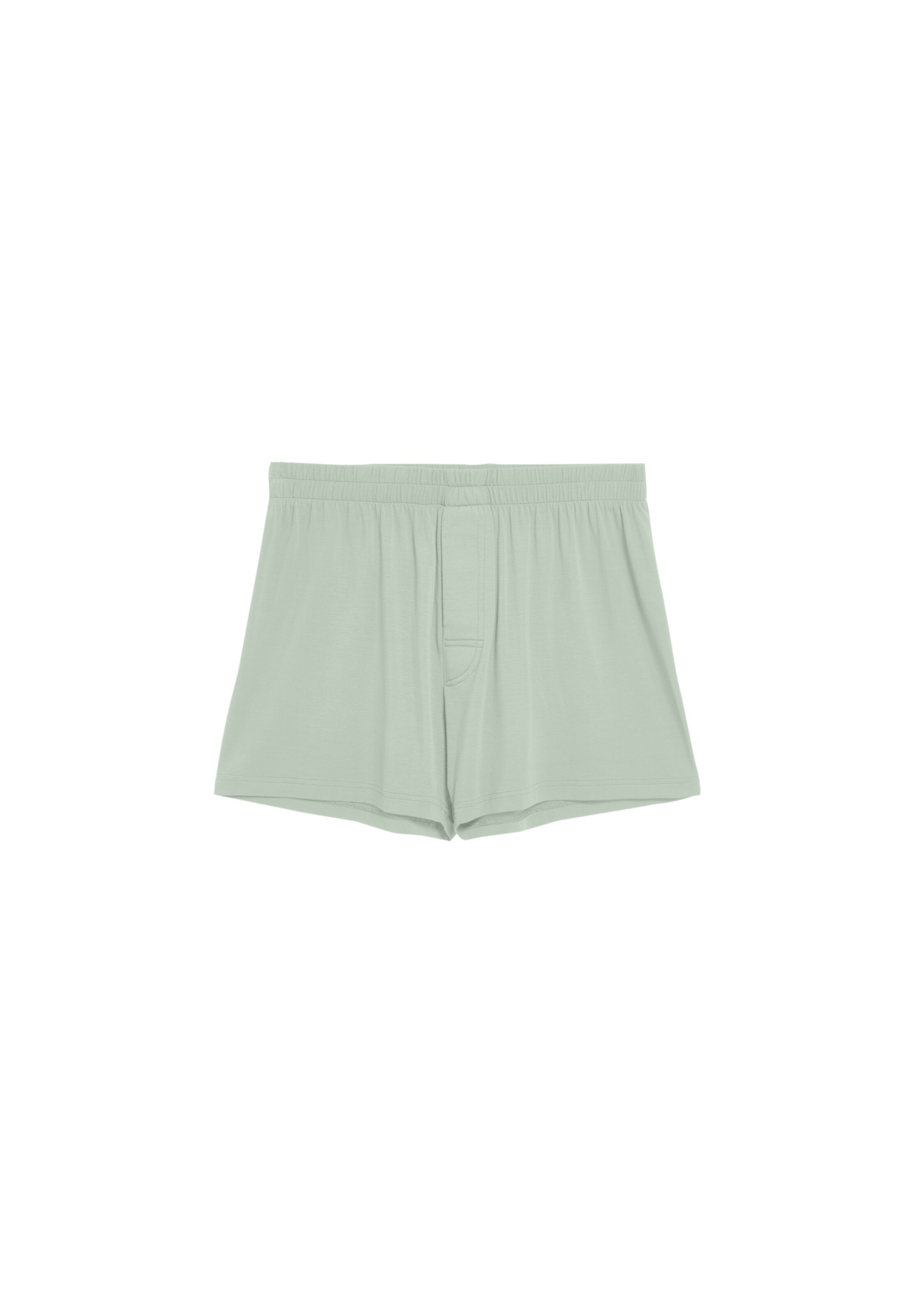 

ARMEDANGELS Боксеры 'AASKER' в светло-зеленом цвете