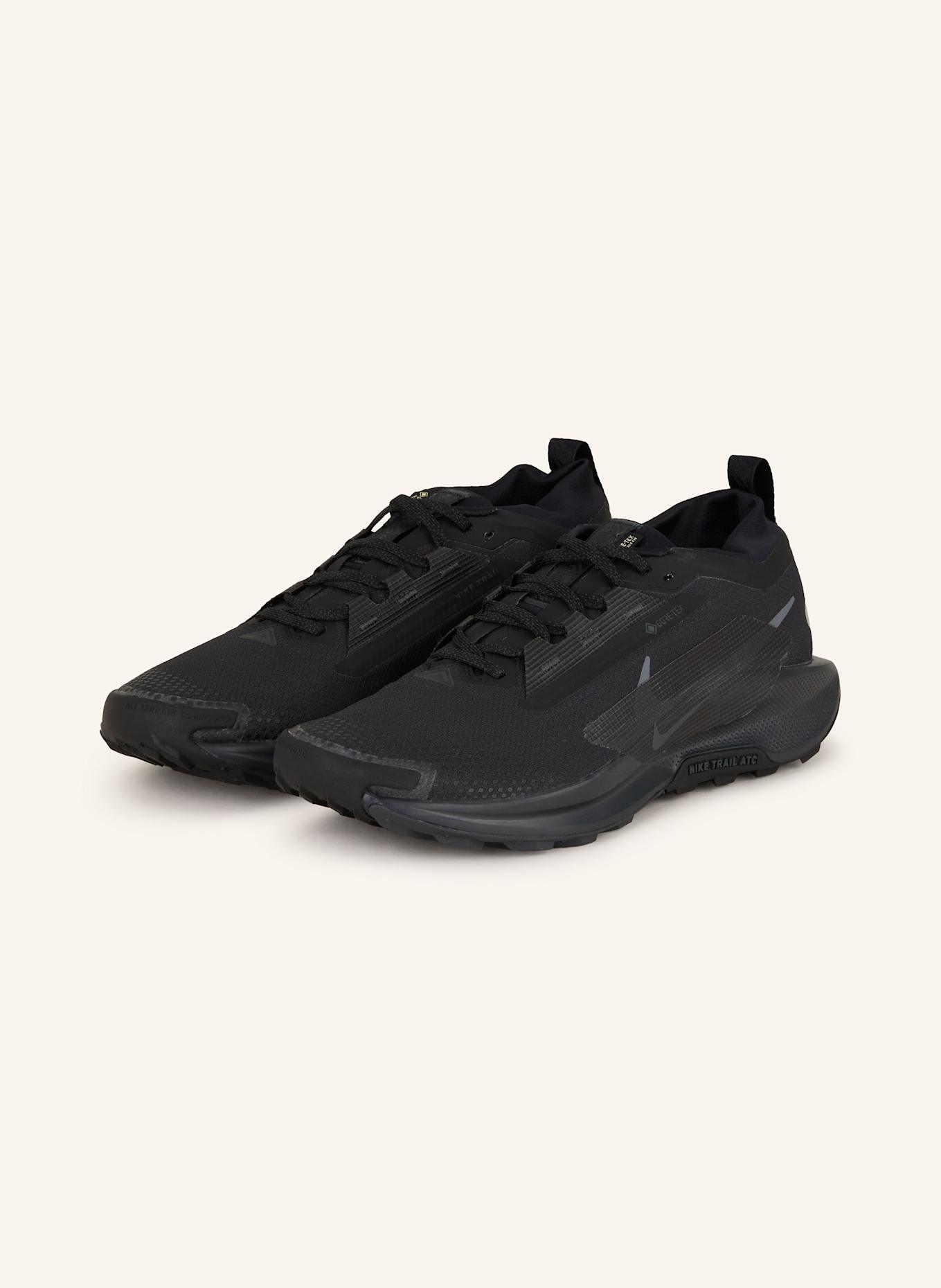 

Кроссовки для бега по пересеченной местности Pegasus Trail 5 GTX Nike, черный