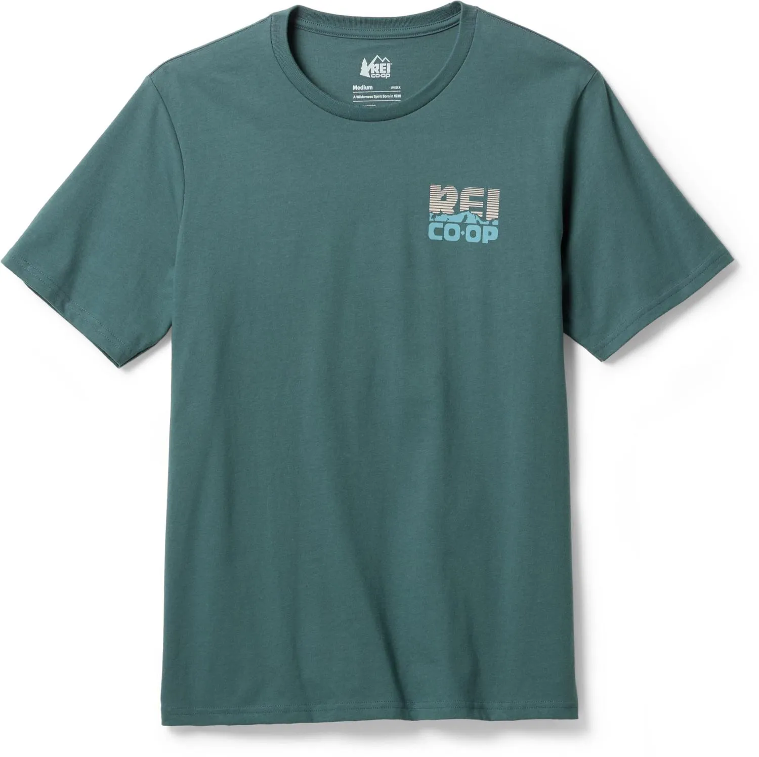 

Футболка Sunrise REI Co-op, Stone Blue