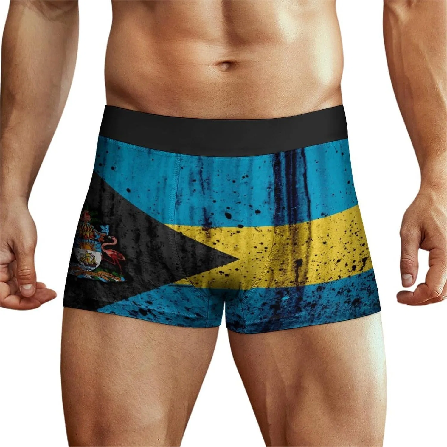 Боксеры Mondrian Style, Style-12