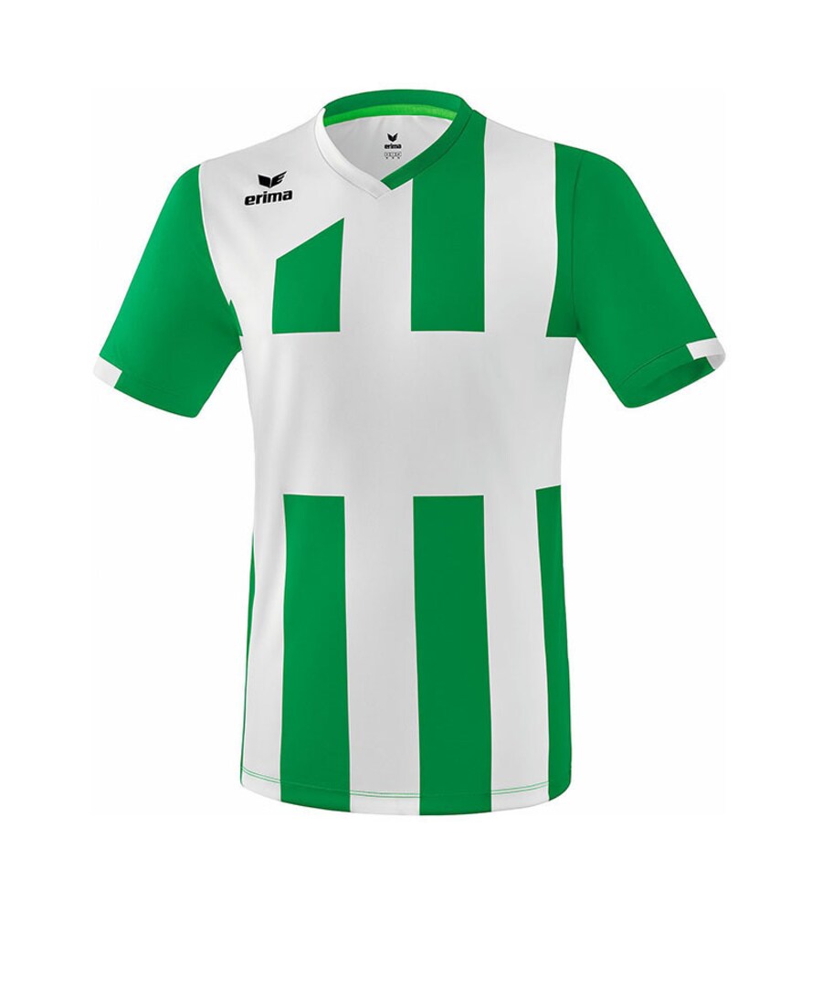 

Джерси ERIMA, цвет Green/White