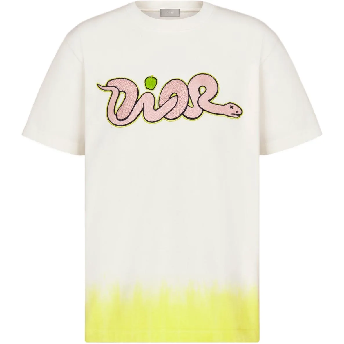Футболка Kaws Relaxed Fit DIOR, белый