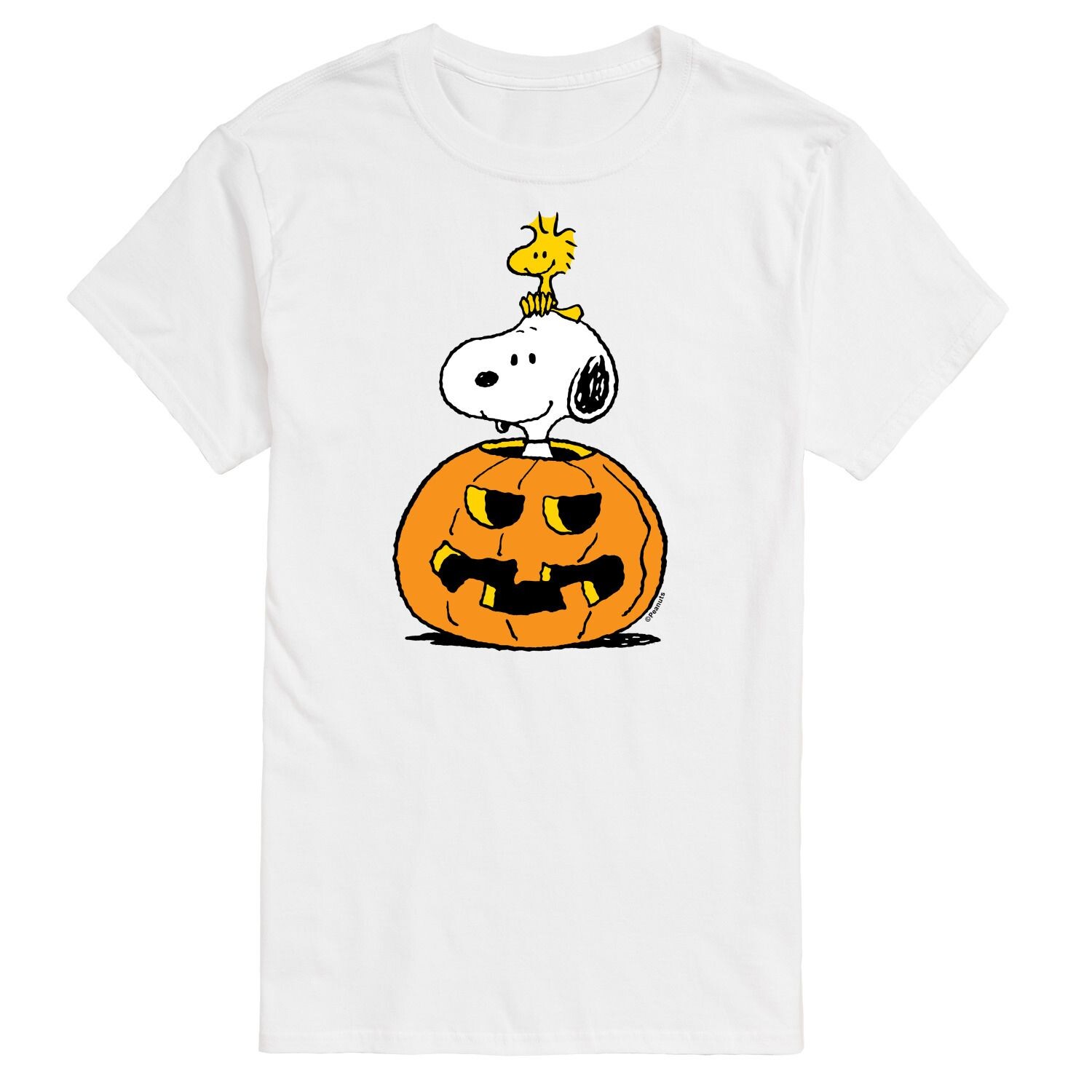 

Футболка Big & Tall Peanuts Snoopy с тыквой Licensed Character, белый