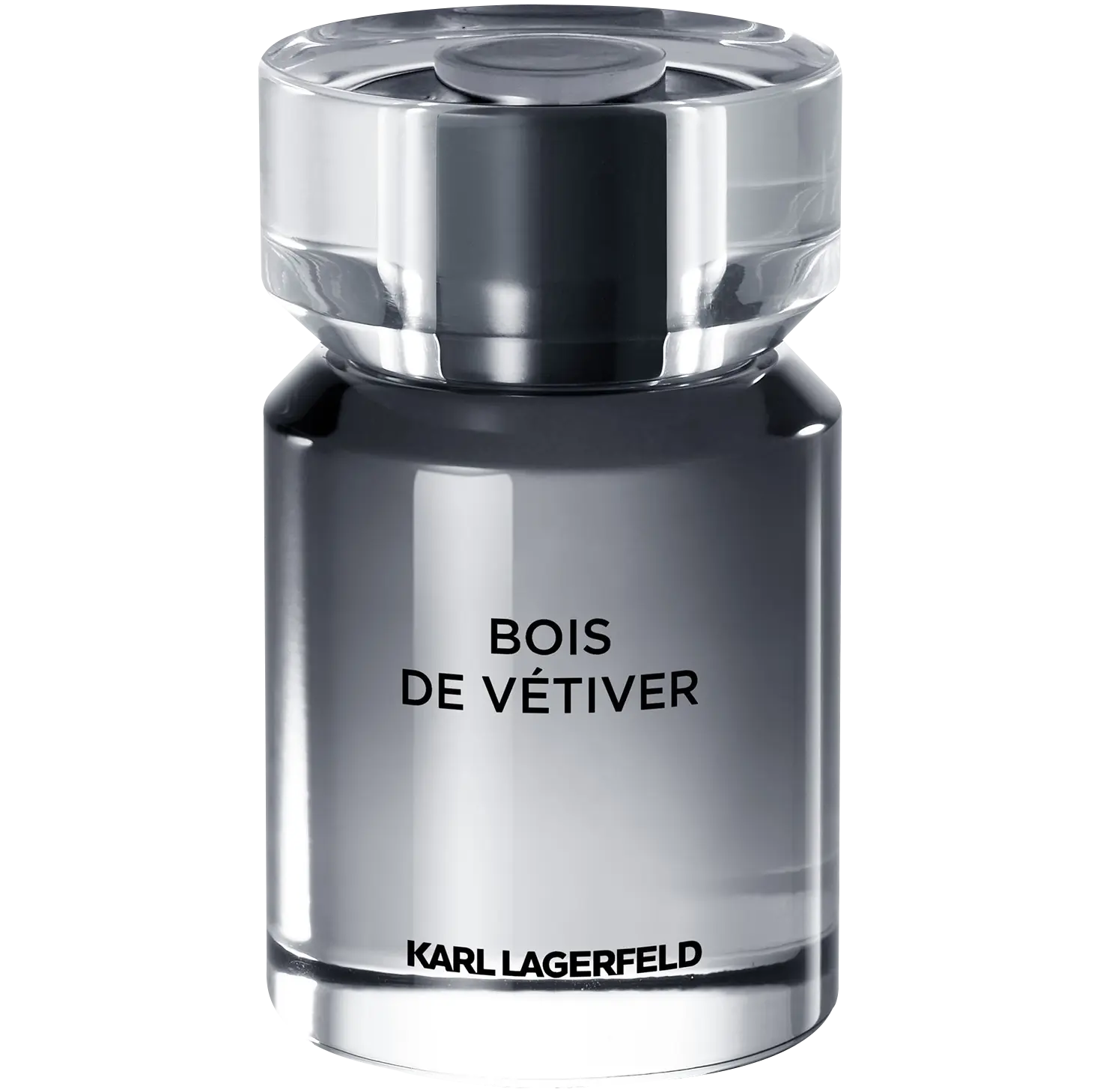 

Мужская туалетная вода Karl Lagerfeld Bois De Vetiver, 50 мл