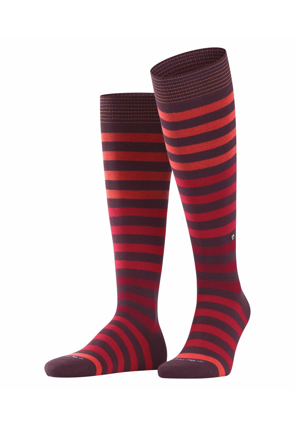 

Носки выше колена BLACKPOOL Burlington, коралл