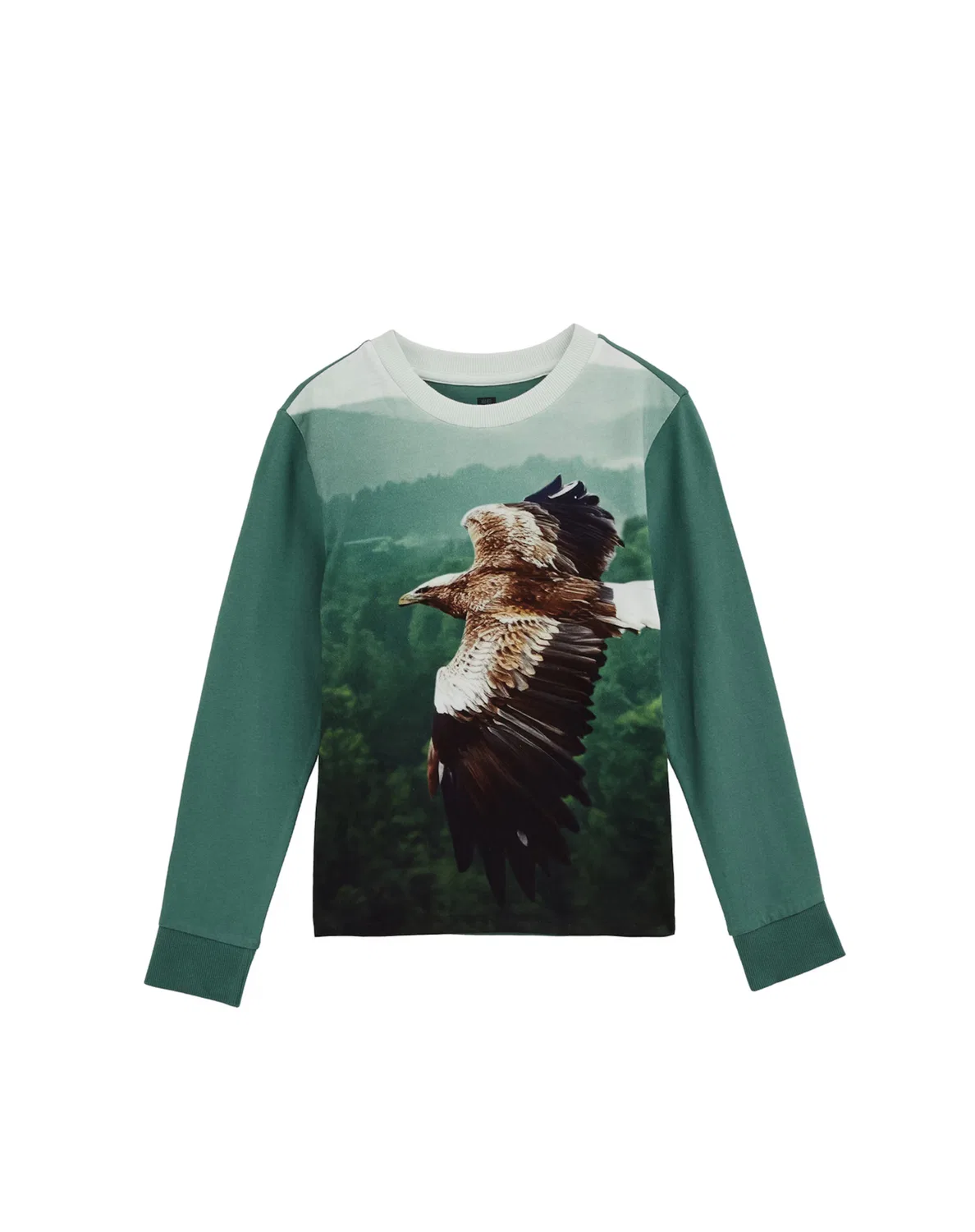 Футболка We Fashion, Mint/Fir