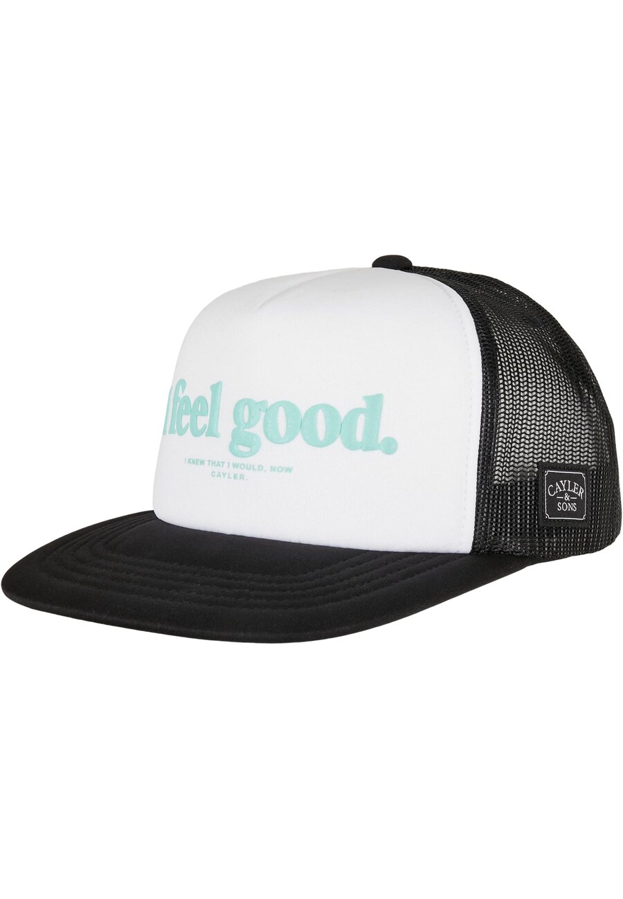 

Бейсболка Cayler & Sons Cap, разноцветный