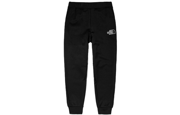 

THE NORTH FACE Мужские спортивные штаны, цвет Black