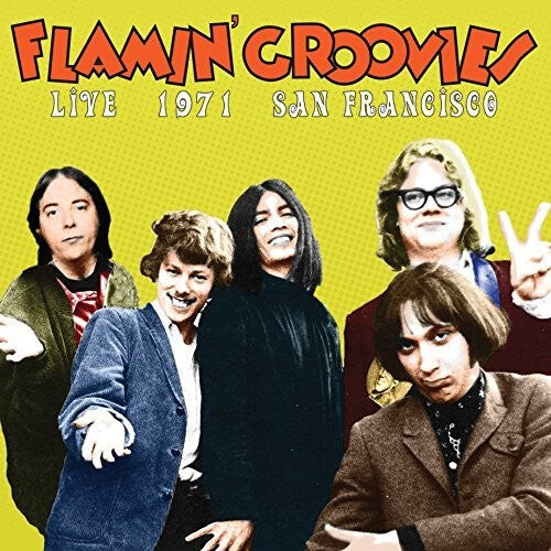 

Виниловая пластинка Flamin' Groovies: Live In San Francisco 1973