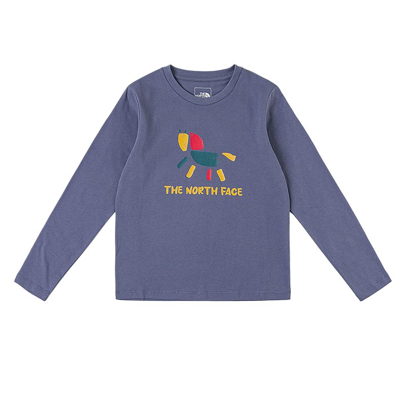 

Детская футболка с круглым вырезом, средней толщины The North Face, btr/dusk фиолетовый