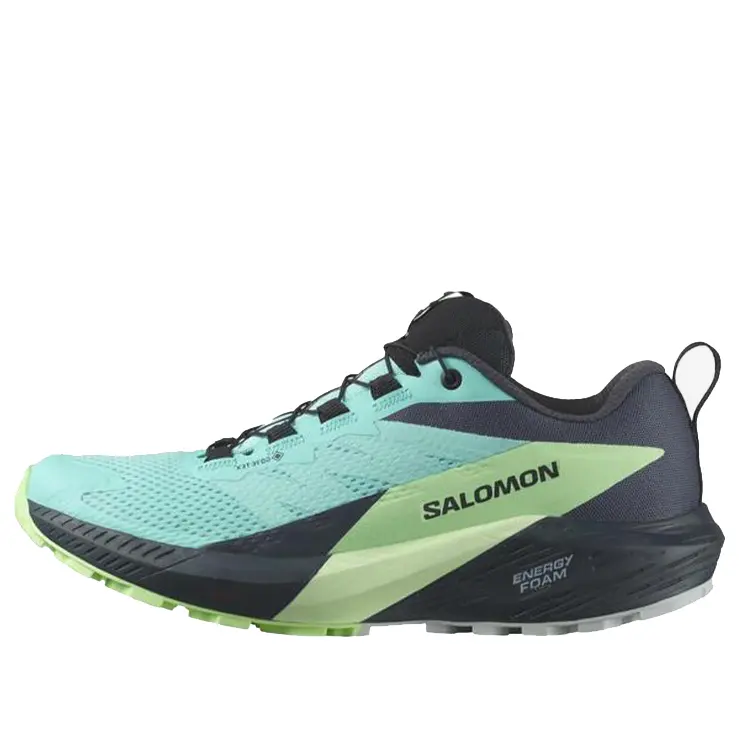 Кроссовки (WMNS)SALOMON Sense Ride 5 GTX 'Blue Radiance' 472160 / L47216000