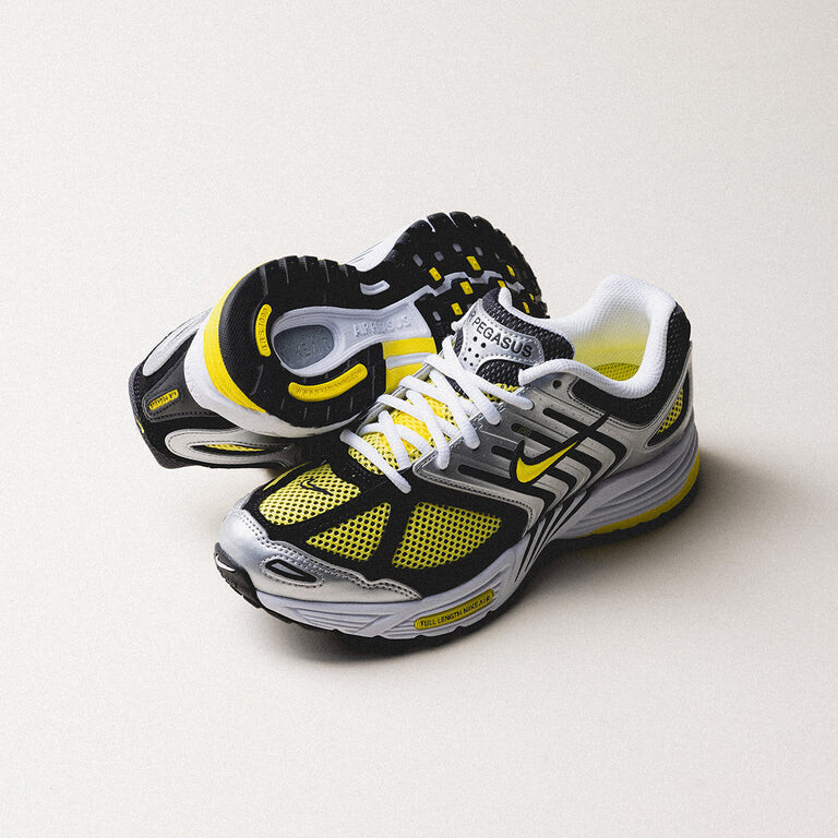 

Кроссовки wmns air pegasus 2005 Nike, белый