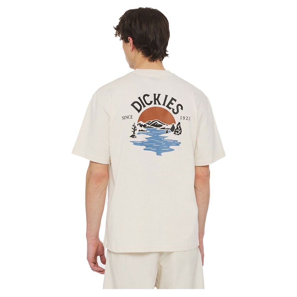 

Футболка с коротким рукавом Dickies Beach, бежевый