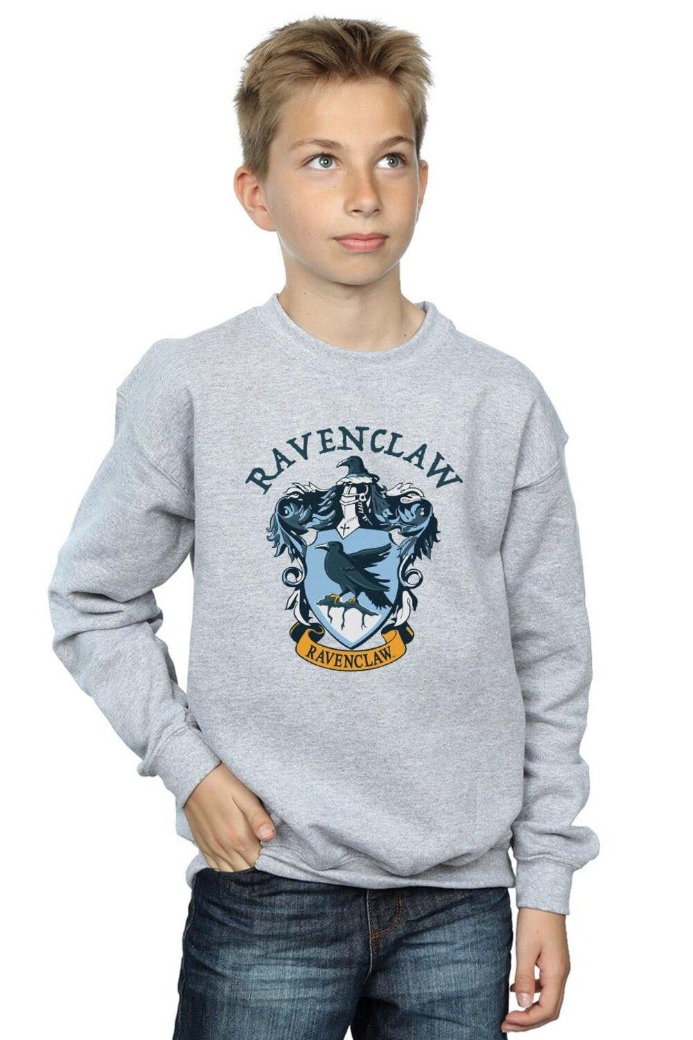 

Толстовка Когтеврана Harry Potter, серый