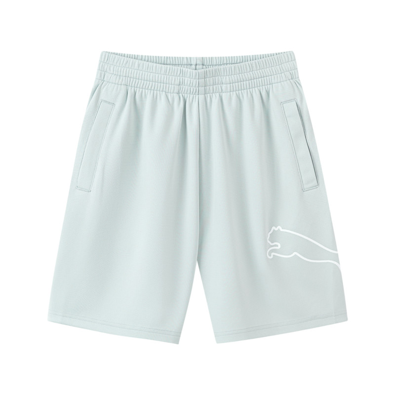 

Спортивные шорты Sportstyle Series Light Gray PUMA, светло-серый