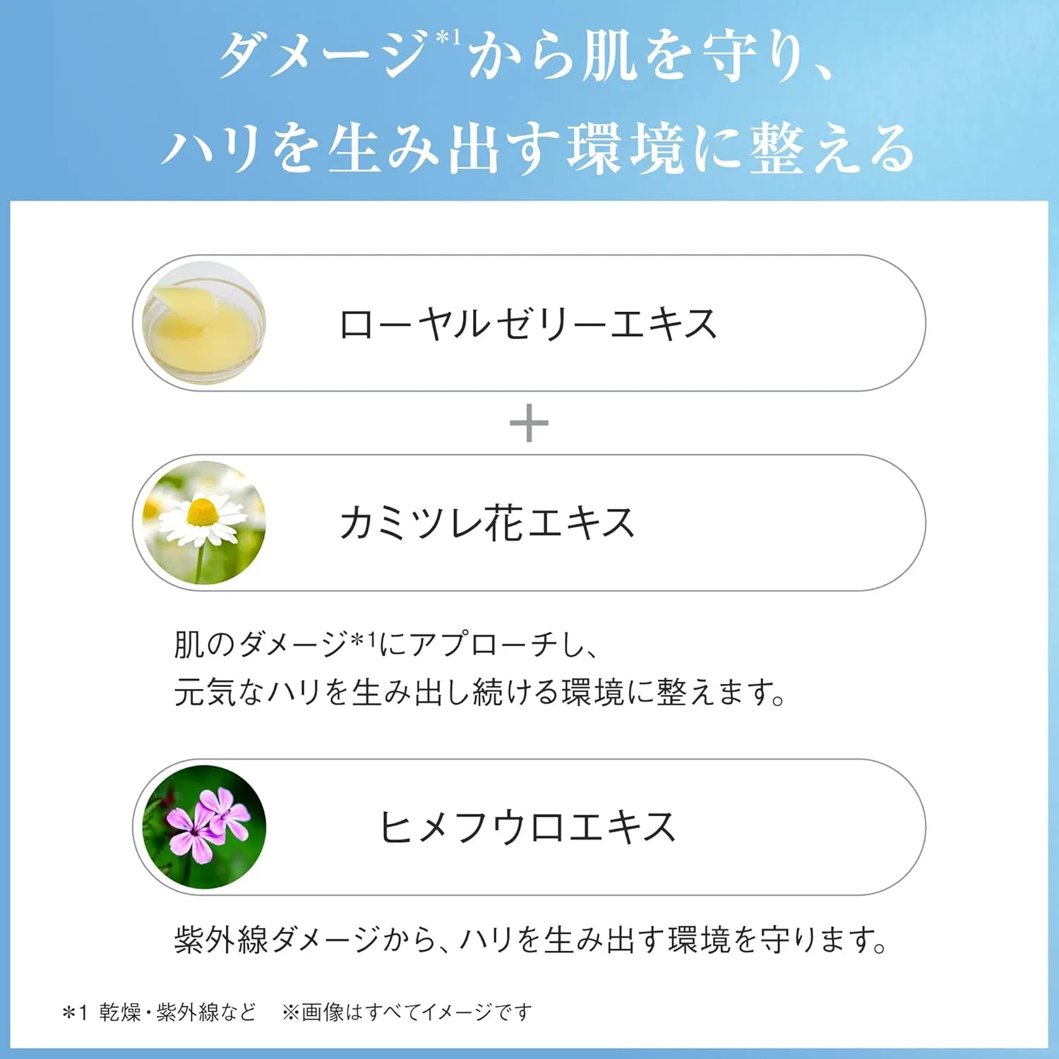 Сыворотка Ayura Plump Concentrate 40 мл + Крем Moist Barrier Cream 30 г — фото 4