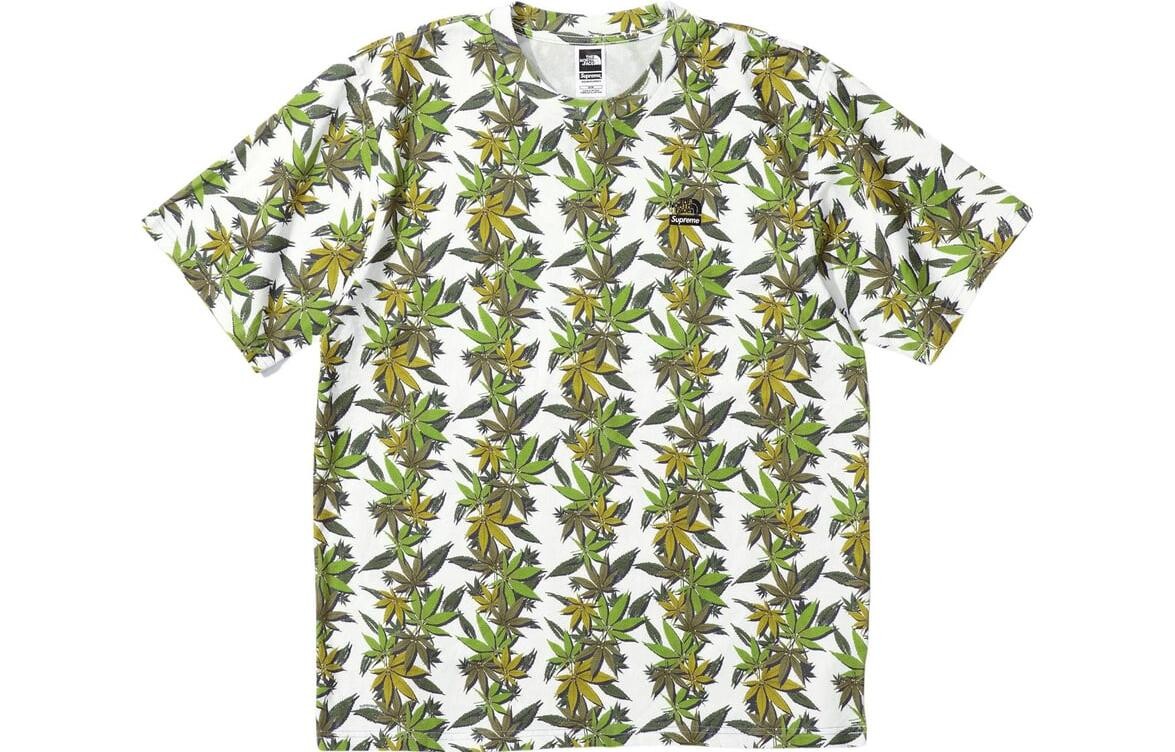

Футболка Supreme The North Face Leaf, черный