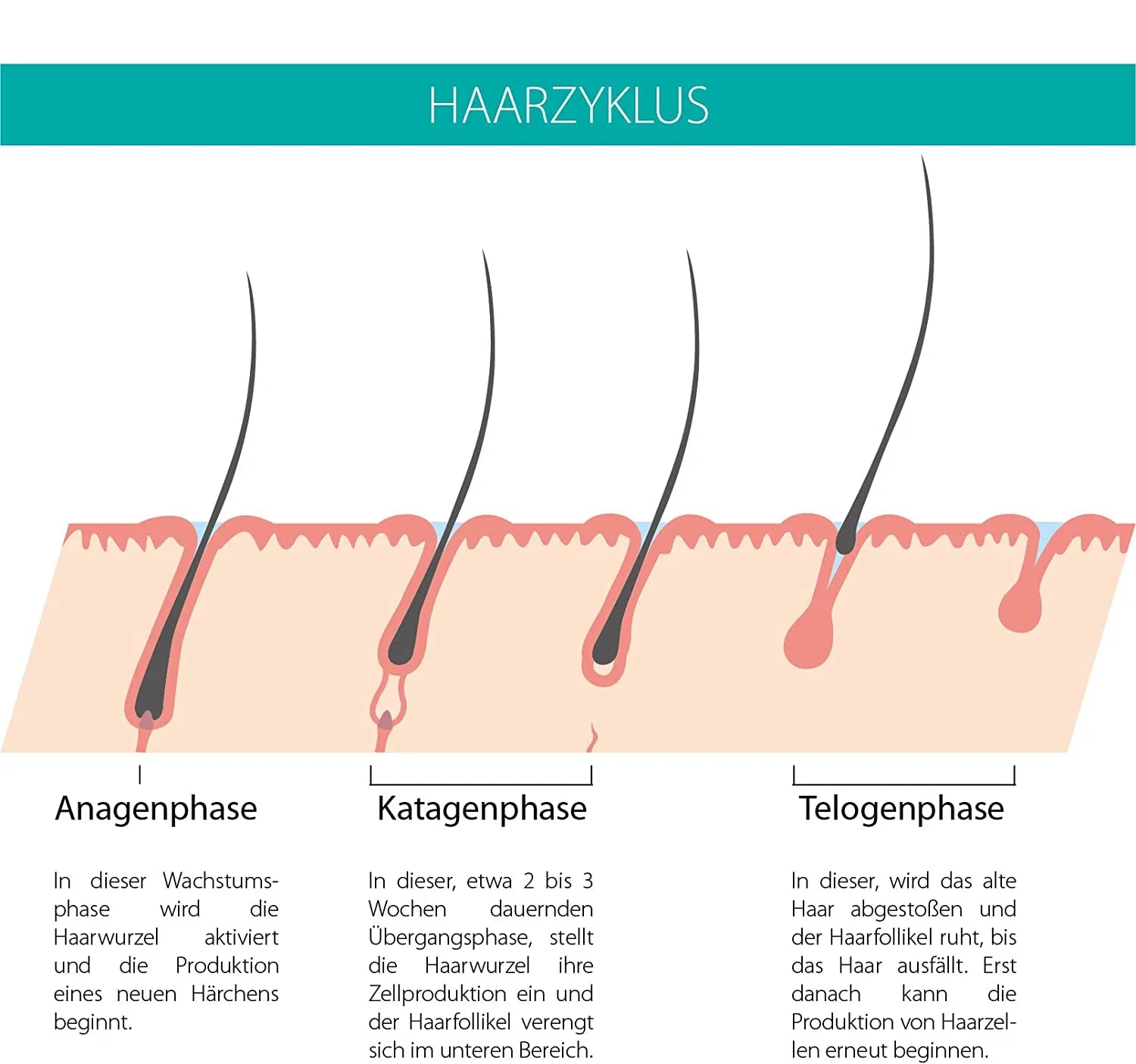 Сыворотка для ресниц и бровей Beautylines 2.0, 6 мл ‎Beautylines — фото 4
