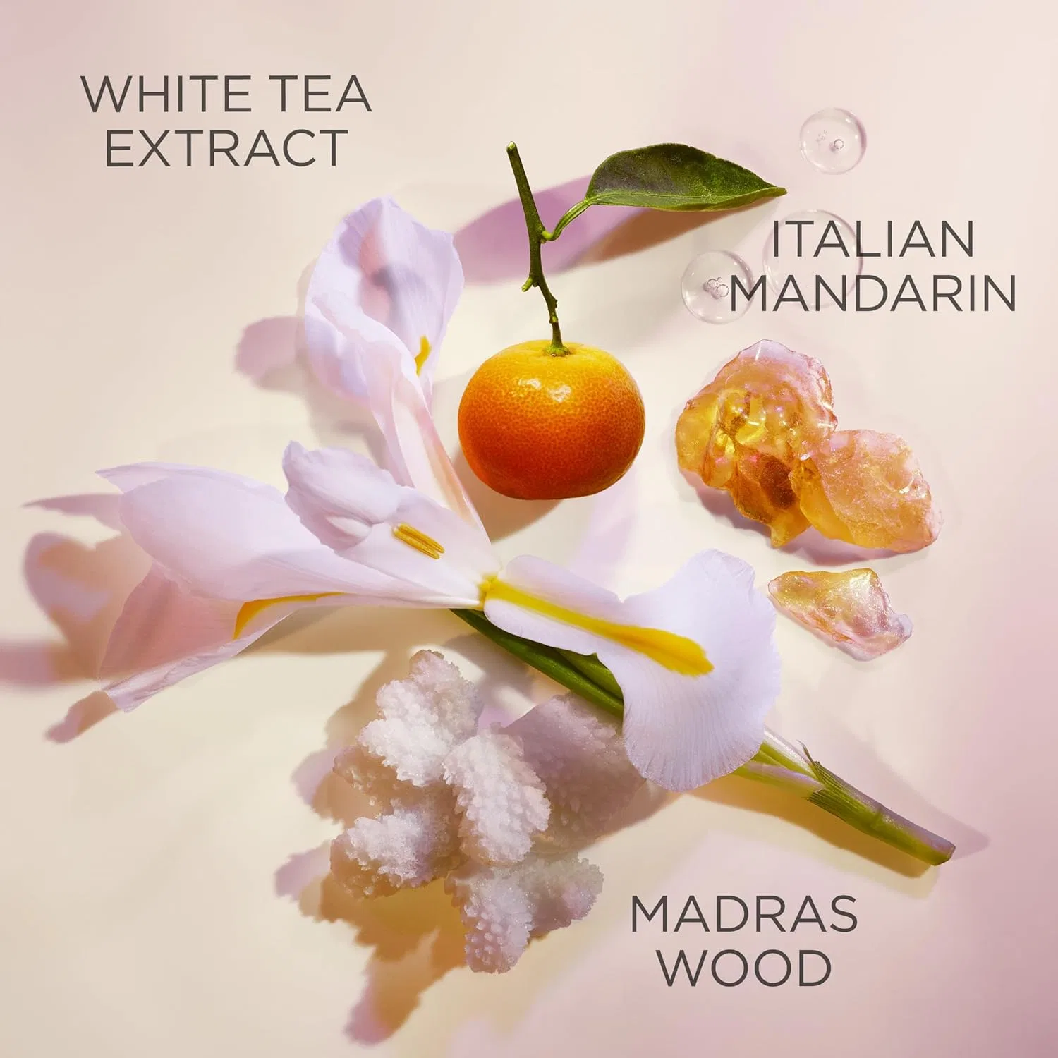 Гель для душа Elizabeth Arden White Tea с экстрактом белого чая, 400 мл Elizabeth Arden — фото 2