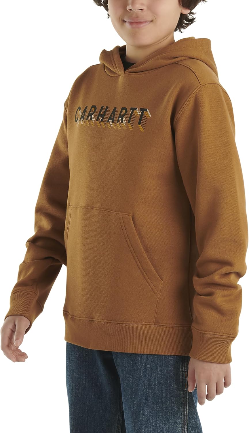 Carhartt мальчиков вязаный худи с длинным рукавом, Carhartt Brown Graphic — фото 2