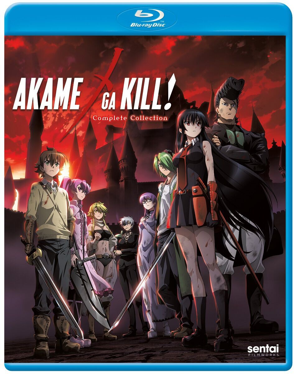 

Blu-Ray диск Akame ga Kill Complete Collection Blu-ray