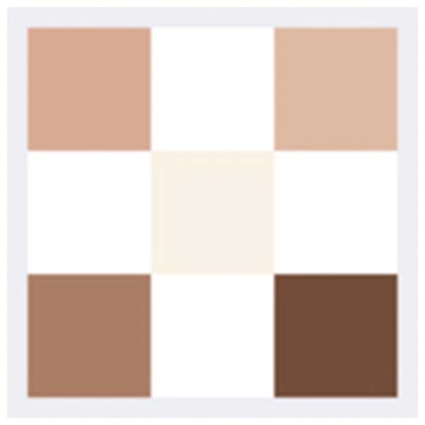Палитра теней DIOR Diorshow 5 Couleurs, 567 Brown Cashmere — фото 4