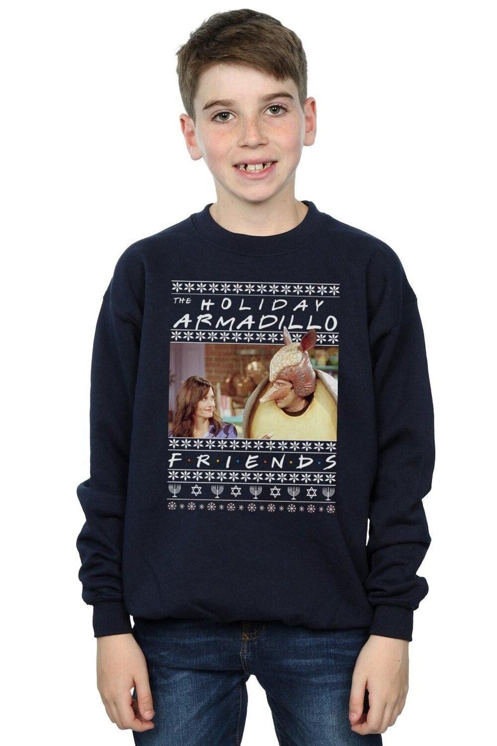 

Толстовка Fair Isle Holiday Armadillo Friends, темно-синий