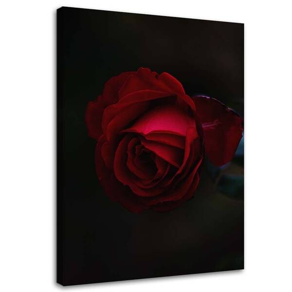 

Картина на холсте Feeby Rot Blumen, красный