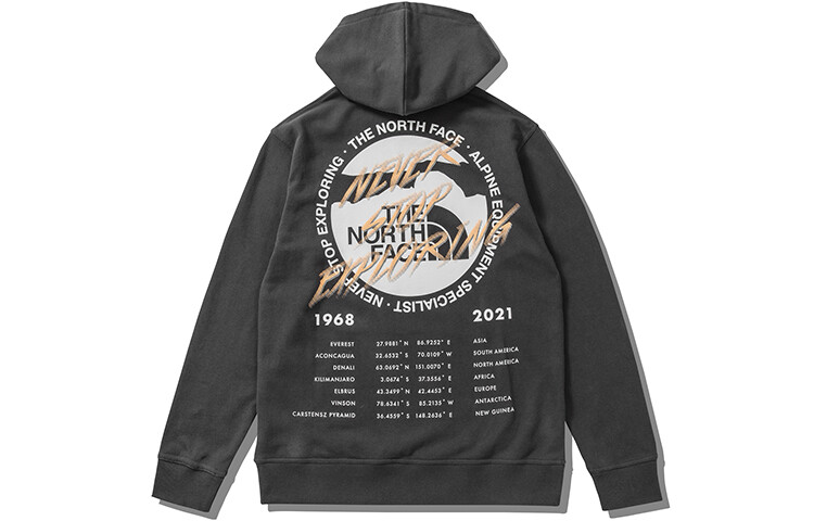 

Толстовка мужская темно-серая The North Face, темно-серый