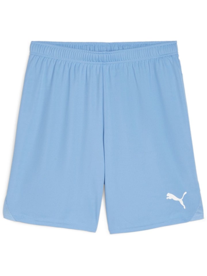 

Спортивные шорты TeamGoal Shorts синего цвета Puma