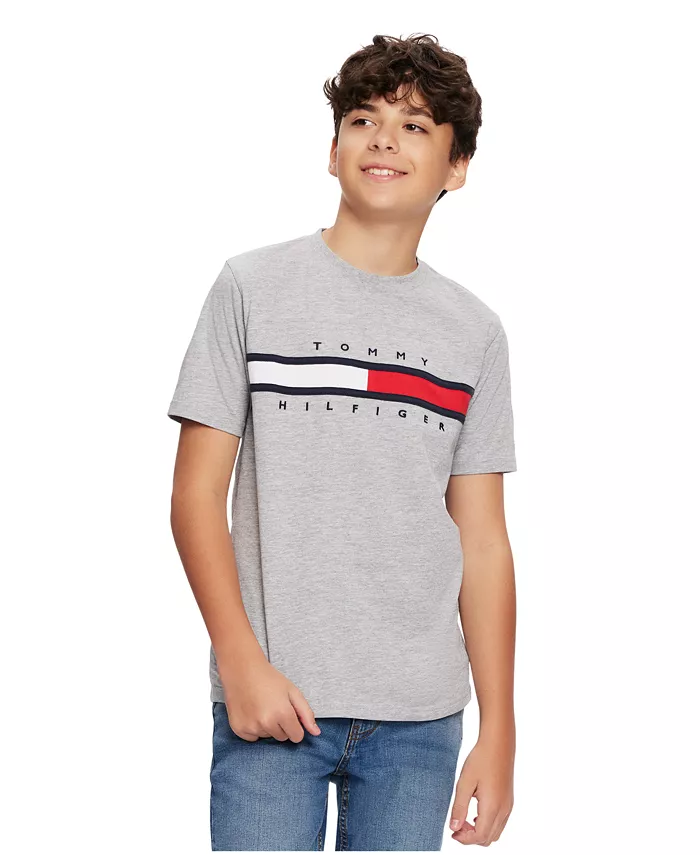 

Футболка Tommy New Signature для малышей и мальчиков Tommy Hilfiger, серый