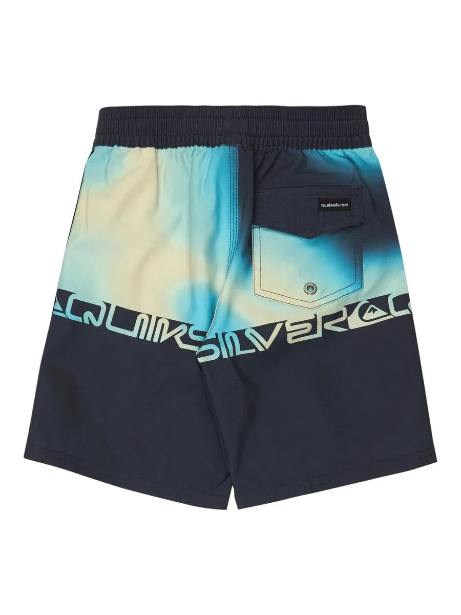 Пляжные шорты QUIKSILVER черного цвета — фото 2