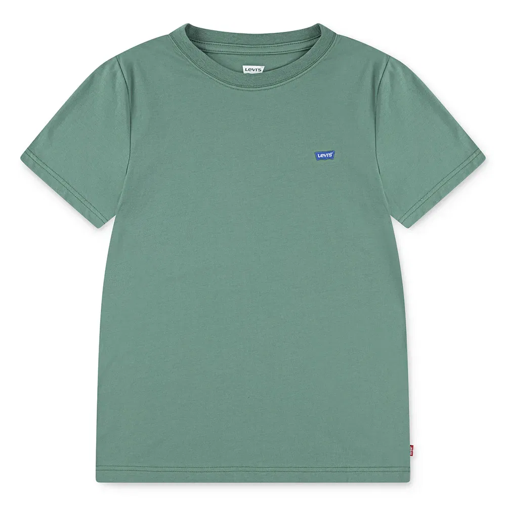 Детская футболка для мальчиков с принтом Batwing Chest Hit Levi's, Green