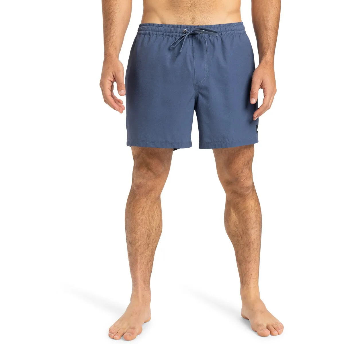 

Мужские шорты Quiksilver Everyday Flex 15" для плавания, синий