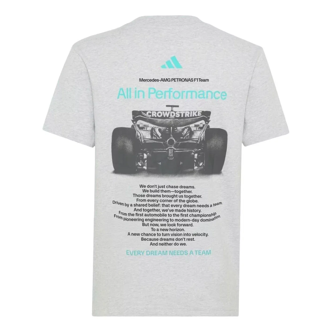 Мужская футболка с коротким рукавом Adidas Mercedes AMG Petronas Formula 1 Team T-Shirt, серый