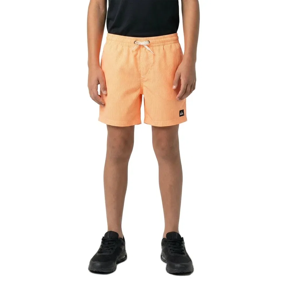 Плавки Everyday Deluxe Volley 14" Quiksilver, оранжевый — фото 3