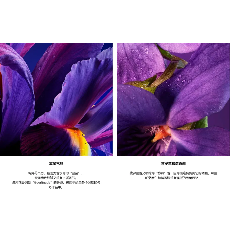 Парфюмерная вода Blue Tone Time, 75 мл, Guerlain, Blue — фото 4