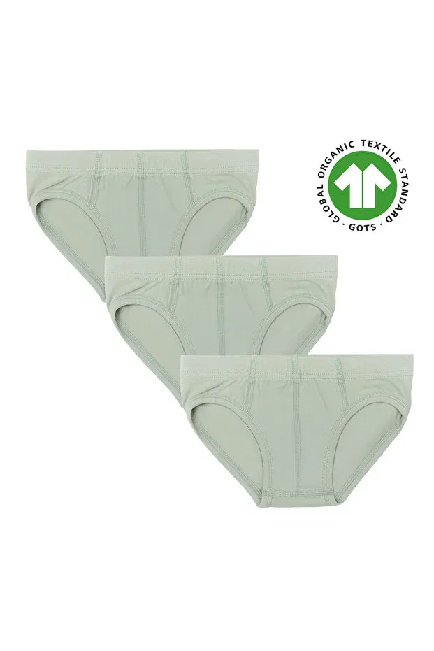 Детские трусы для мальчиков хлопковые Gots Certified Organic Cotton Boys Slip Underpants - Elastic Waist, Vegan Albero Natur, Eisberg Green