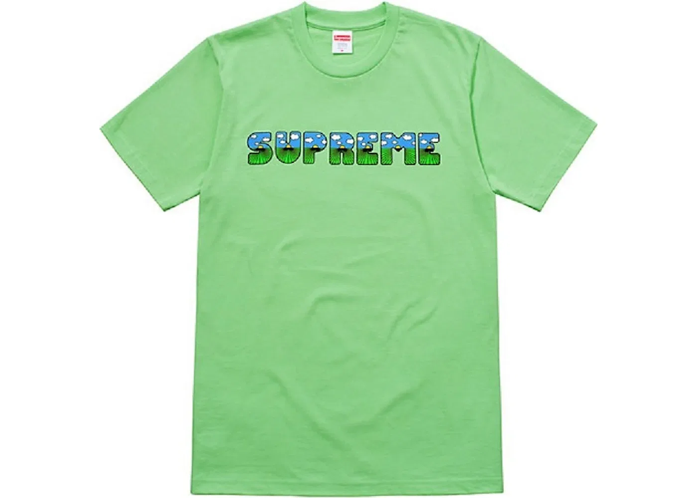 Мужская футболка с принтом Supreme The Shit Tee, Mint