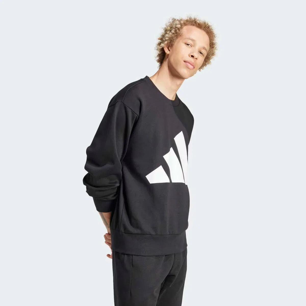 Мужская толстовка, Essentials Big Logo Fleece, adidas, черный — фото 3